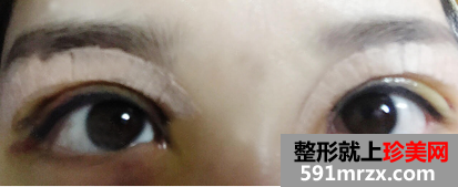 �۲��������g�ޏ� �p��Ƥ+�_�۽��ޏͽ��v����