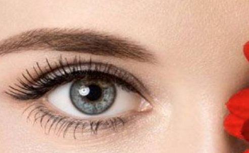 �����p��Ƥ����ܺȾ�