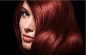 ֲ�lЧ�����m�r�g