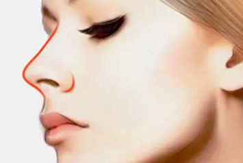 ���ӱ������˳C�����g�����X