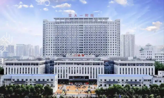 �������������t(y��)Ժ����