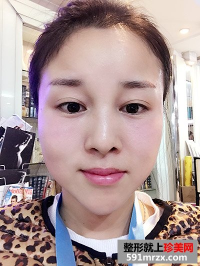 ���������I���挍�����֏��^�̈D