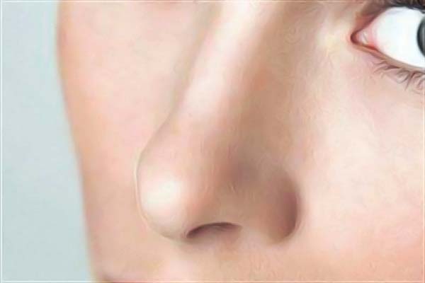 ʮ��ֲ�l��Ҏ�tԺ���а񹫲�