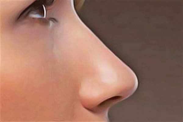 ���ݹ��������t(y��)Ժ�ļҺã����������t(y��)Ժ���]��