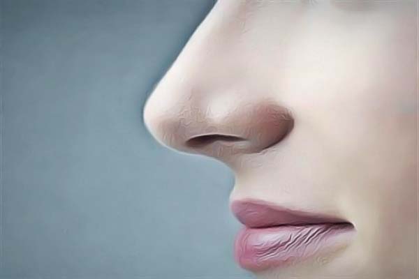 �V���A�S�tԺ���������Ҏ��