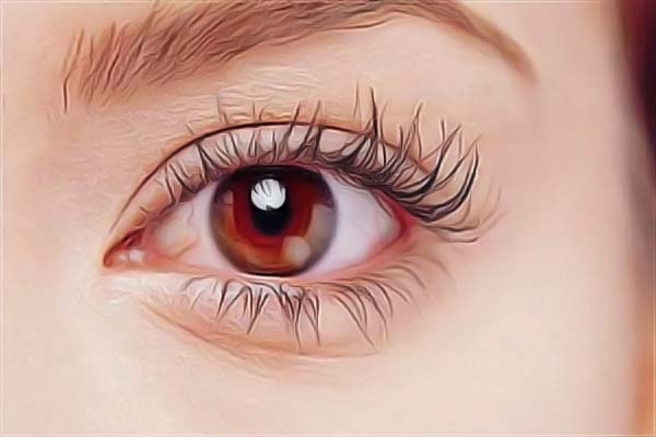 �Ϻ��ᬔ���J�C�C�����J�C�t��