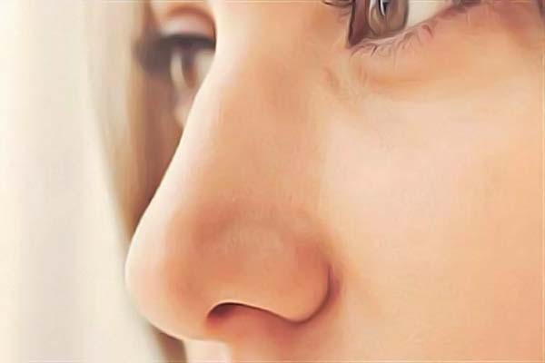 �����t(y��)Ժֲ�l(f��)���Ă���