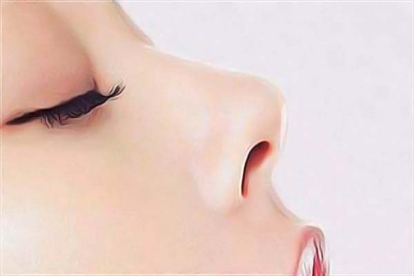 �����i�������t�������\����ô��