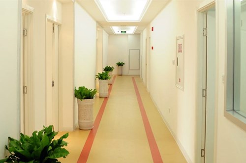 �B�d�ڶ��tԺ�������ݿ�