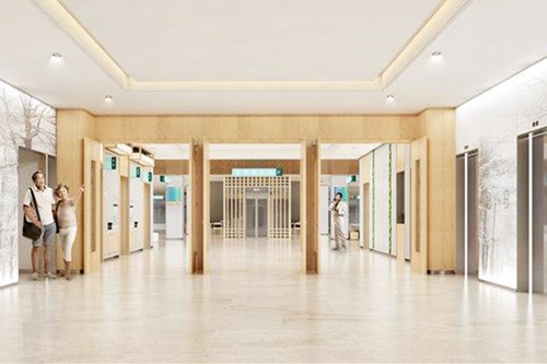 ���������tԺ�������ݿ�