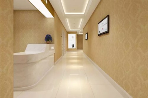 �B�T�����tԺ���ο�