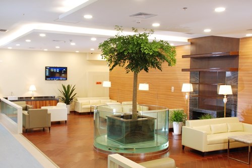 ��h���������tԺֲ�l��