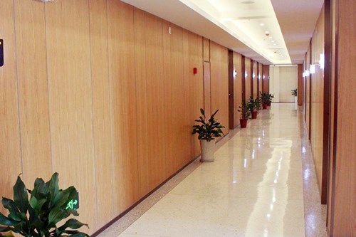 �V�ݷe�����������tԺ